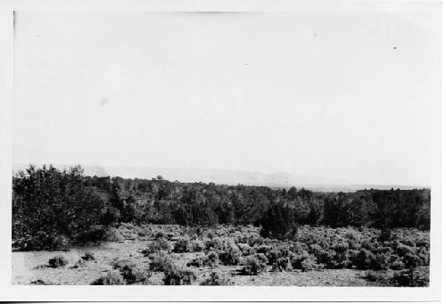 Photo of Mesa Verde from Dolores- Dove Creek Road