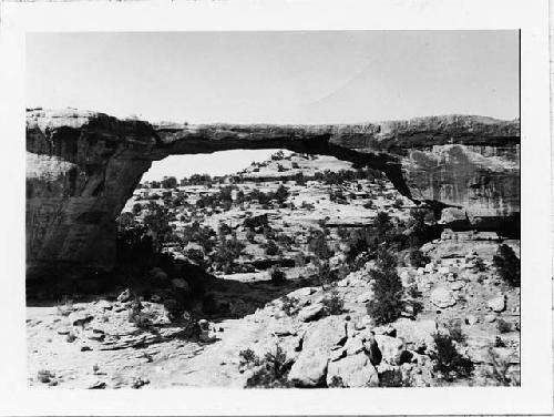 Photo of Natural Bridges National Monument