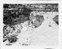 Photo of Natural Bridges National Monument