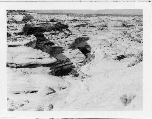 Photo of Natural Bridges National Monument