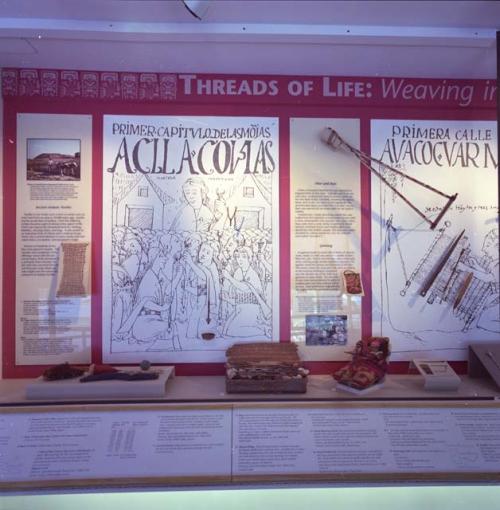 Threads of Life exhibit, Tozzer Library