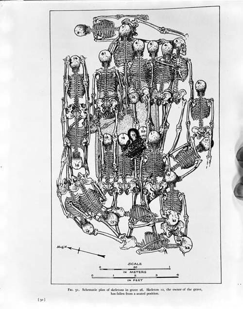 Drawing - "Schematic plan of skeletons in grave 26"