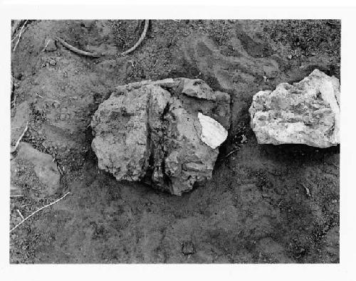 Photo of Potsherds from post-houses, showing pole and stick impressions