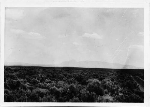 Photo of Ute Mt. from Cahone Mesa