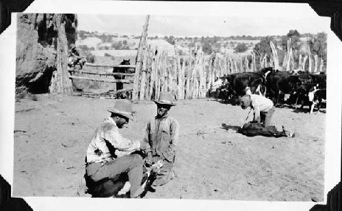 The afternoon July 15th-Alfred takes a holiday and helps the Chaffin boys brand