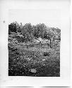 Photo of Jimmy Dennison Pitching- horseshoes. Al Lancaster awating his turn