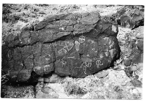 Photo of Bear paw and shield