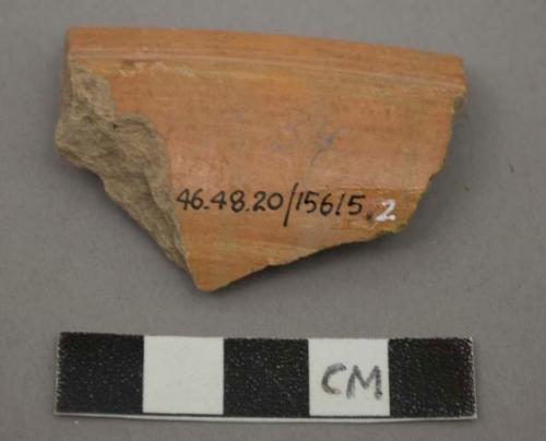 Ceramic rim sherd