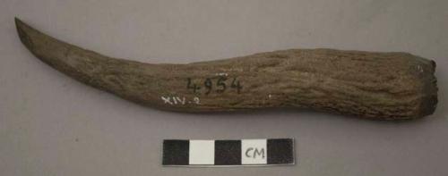 Chisel shaped, antler points