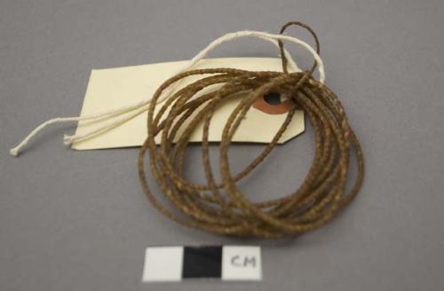 Sinew rope.  Sketch sent to collector for identification.