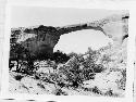 Photo of Natural Bridges National Monument