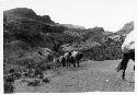 Pack train coming out of Hoxie Creek