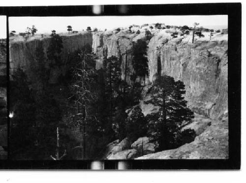 Canyon with trees