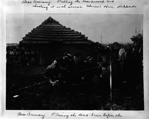 Bear ceremony, placing dead bear before altar