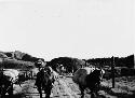 Pack Train Just North of Green River Memo A7 July 12