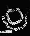 Two necklaces, one of human teeth and one of dolphin teeth