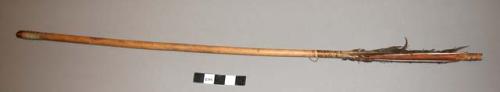 Arrow, consisting of wooden arrowshaft notched at base.