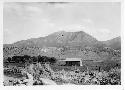 Photo of Ute Mt. from the McElmo