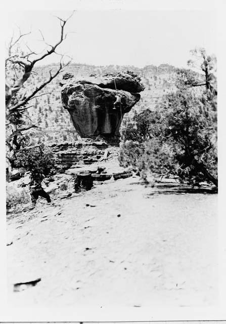 Man climbing rock