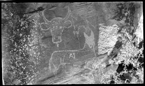 Petroglyph, animal and initials