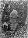 Large freestanding stone phallus in Xkobehaltun