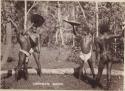Four Aboriginal men photographed facing one another holding spears and shields in the air