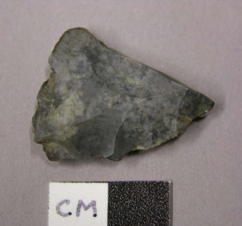 Projectile point