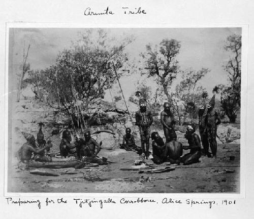 Preparing for the Tjitjingalla Corrobboree, Alice Springs, 1901