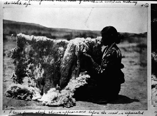 Navajo Indian Preparing Dye and Wool for Blanket-Making