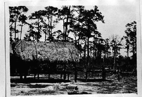 Seminole Indian houses