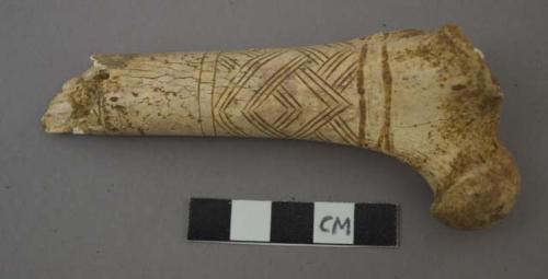 Large bone, incised