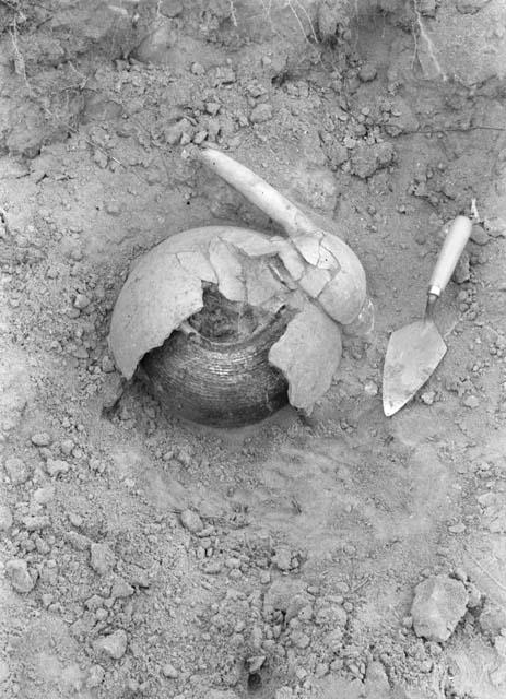 View of excavation site