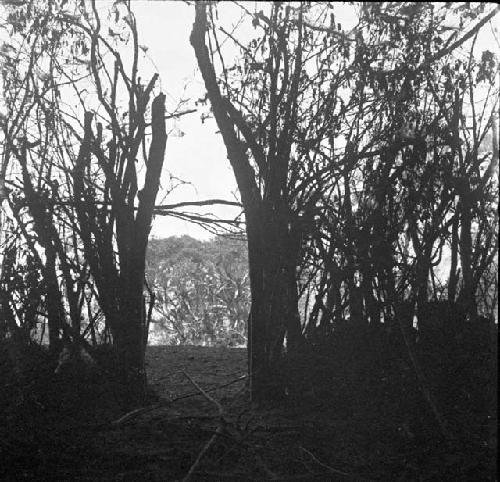 Stockade in front of cave in  vicinity of Elgonyi