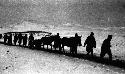 Line of soldiers with horses and carts walking through snow