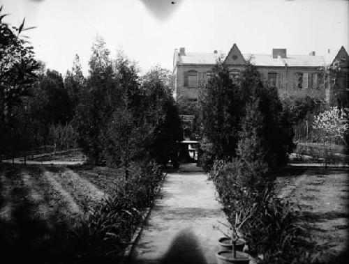 Garden path lined with plants and trees