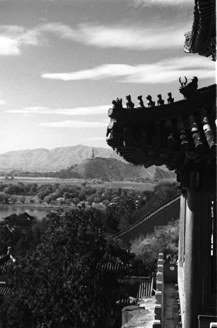 Roof corner of building (Probably Summer Palace)