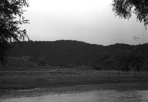 Landscape with road and trees