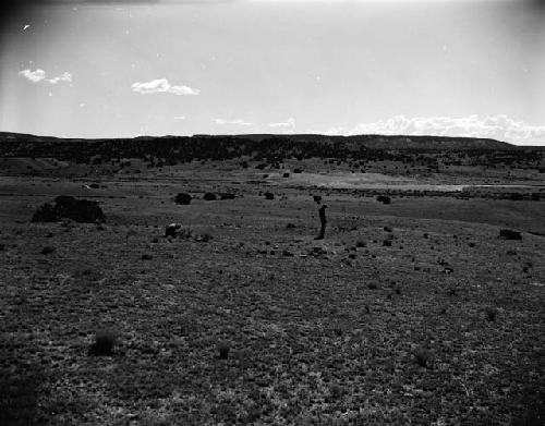 Curtiss Farm site, depressions on the Basket Maker site south of camp