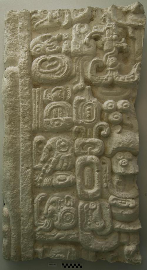 Cast of part of Stela B - south middle