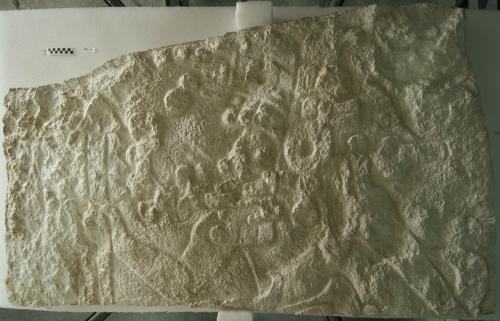 Cast of  part of carving from Loltun cave