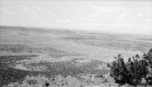 View West over the Largo Wash from Tihana Mesa. MI. Escondido, near Springervill