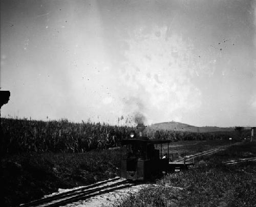 Narrow gauge engine for hauling sugar cane
