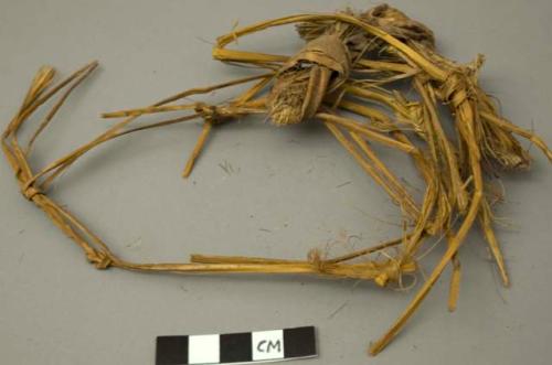 Floral remains, fiber fragments, knotted