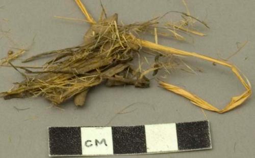 Fiber fragments