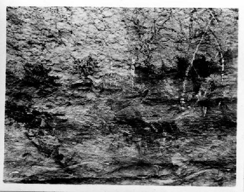 Cave Canyon Site paintings