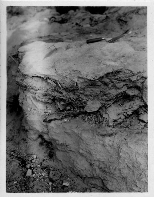 Details of excavation in Barrier Canyon; detail of floor layer in room E