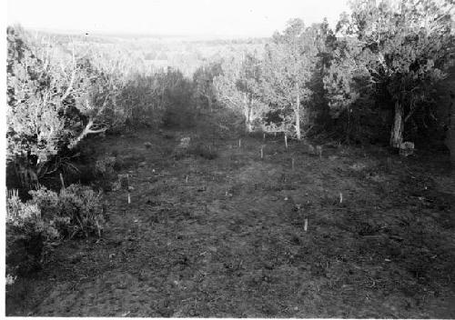 Refuse mound from N.W. after clearing