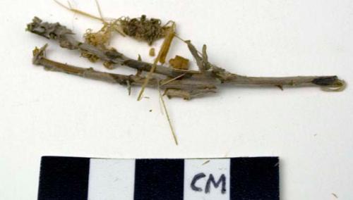 Floral remains, twigs and fiber shreds