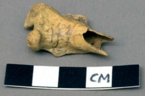 Faunal remain, Lepus, (jackrabbit), femur, left side