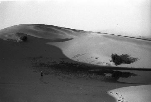 Pond in sand dunes, with brush nearby